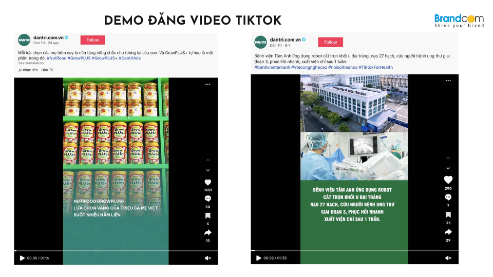 Báo giá quảng cáo kênh Tiktok báo Dân Trí mới nhất