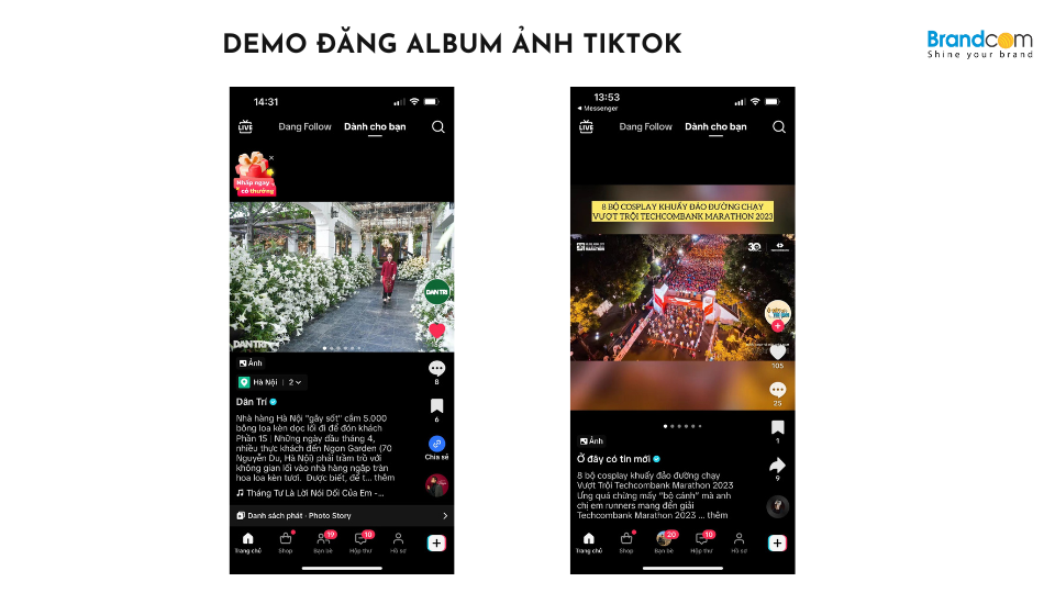 Báo giá quảng cáo kênh Tiktok báo Dân Trí mới nhất
