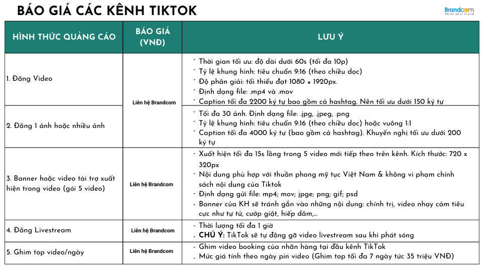 Báo giá quảng cáo kênh Tiktok báo Dân Trí mới nhất