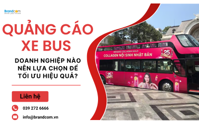 Quảng cáo xe bus: Doanh nghiệp nào nên lựa chọn để tối ưu chi phí và hiệu quả?